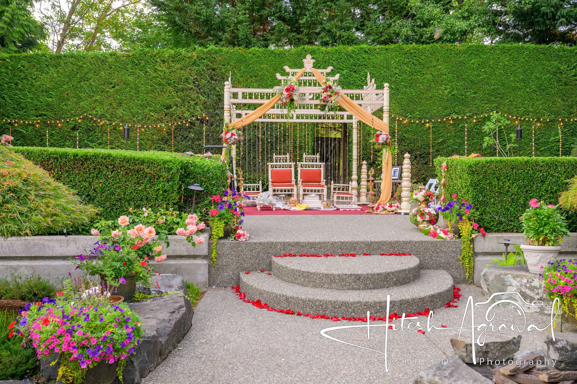 Ananya & John wedding photo 471