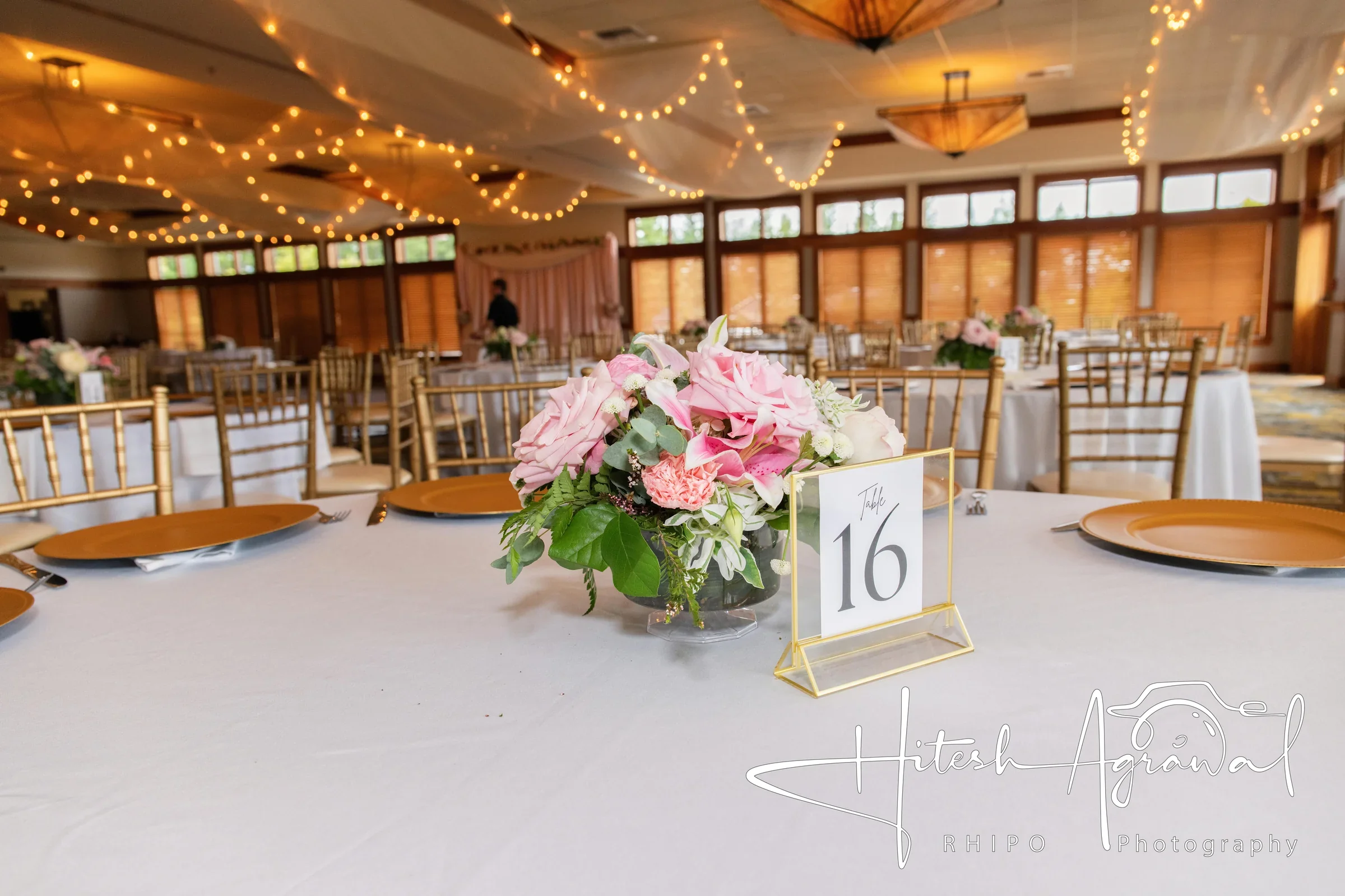 Ananya & John wedding photo 634